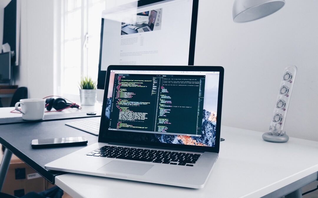 Guía del Ciclo de Vida del Desarrollo de Software