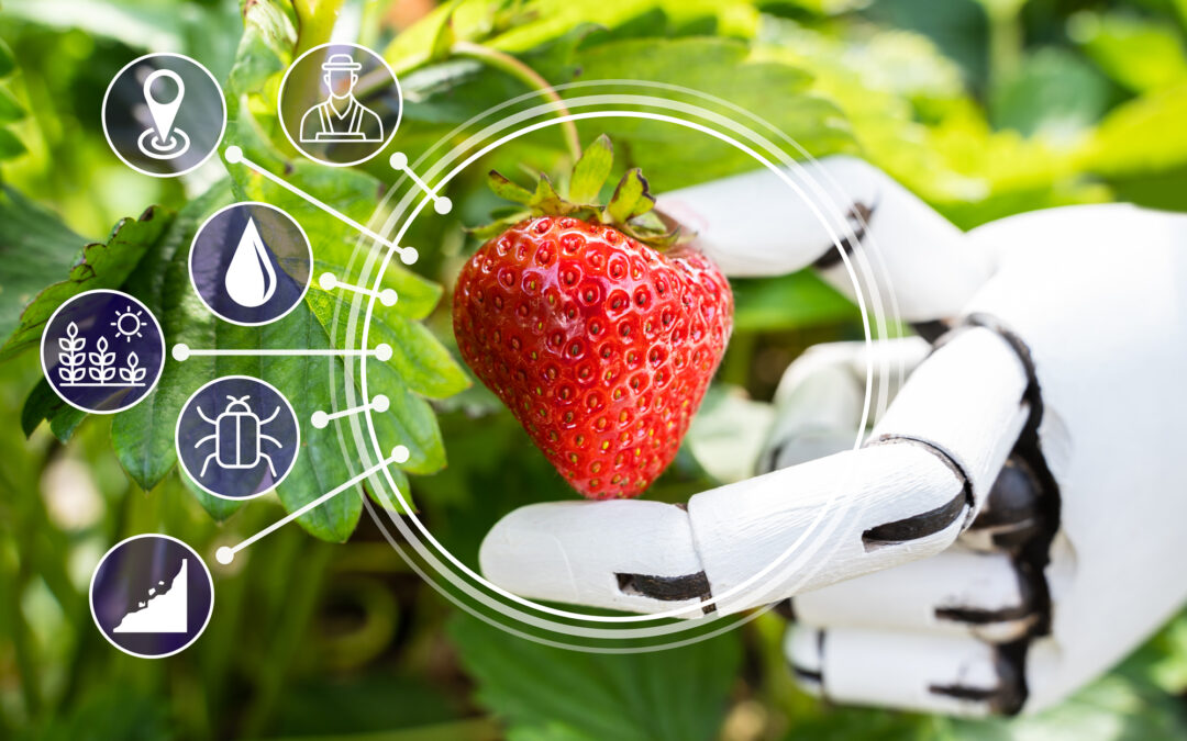 ¿Google + IA = Agricultura 2.0?