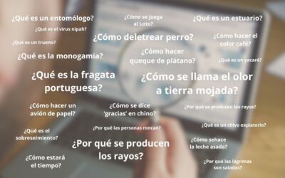 Las preguntas más curiosas de esta semana en Chile 🔎