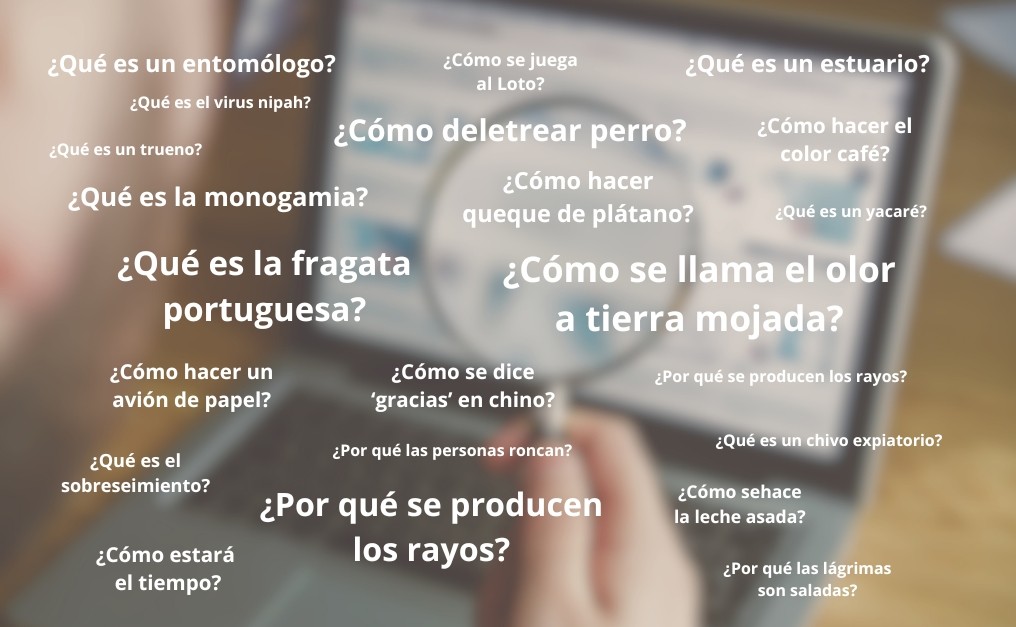 Las preguntas más curiosas de esta semana en Chile 🔎